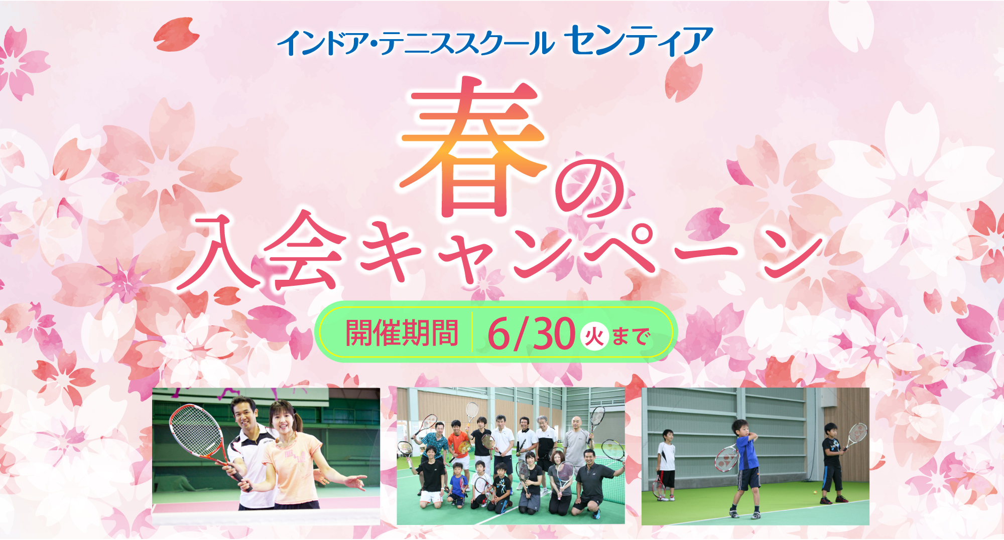 春の入会キャンペーン